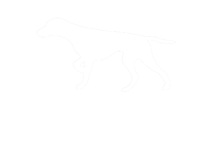 camoköter — Individuelles Mensch-Hund Coaching